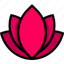 beauty, flower, lotus, spa, yoga