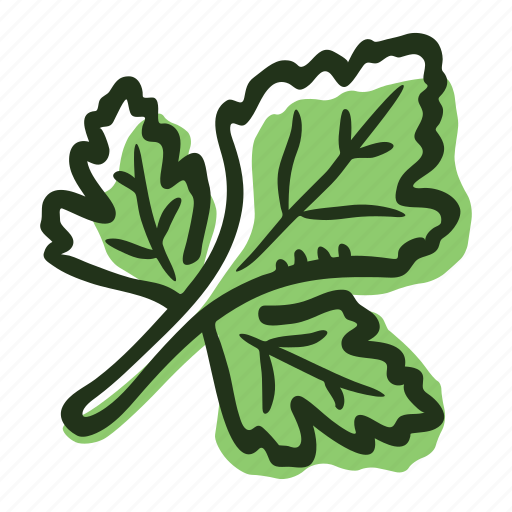 Cook, food, herb, ingredient, leaf, parsley, spice icon - Download on Iconfinder