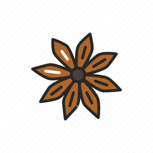 Anise, star, spices, seasoning icon - Download on Iconfinder