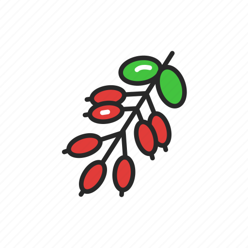 Barberry, spices, seasoning icon - Download on Iconfinder