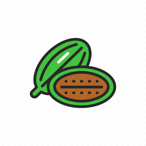 Cardamon, spices, seasoning icon - Download on Iconfinder