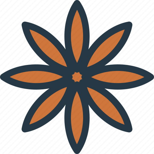 Anise, spices, spice, seasoning icon - Download on Iconfinder
