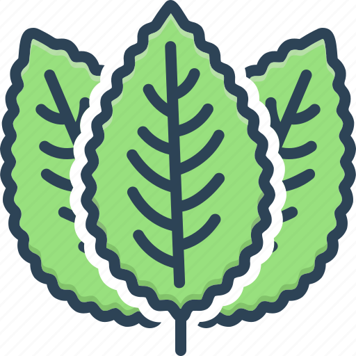 Green, herbal, ingredient, leaves, mint, peppermint, spice icon - Download on Iconfinder