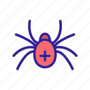 animal, contour, insect, pet, spider
