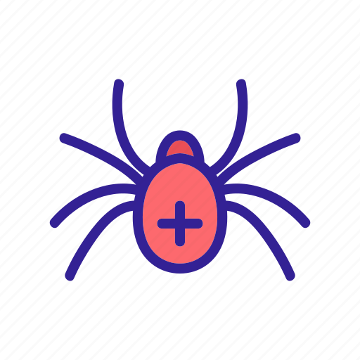 Animal, contour, insect, pet, spider icon - Download on Iconfinder
