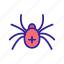 animal, contour, insect, pet, spider 