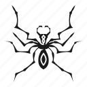 abstract, business, silhouette, spider, tattoo, tribal