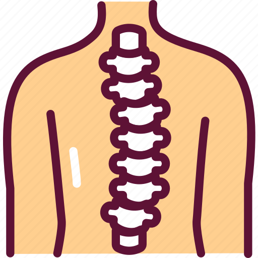 Spine, orthopedic, scoliosis icon - Download on Iconfinder