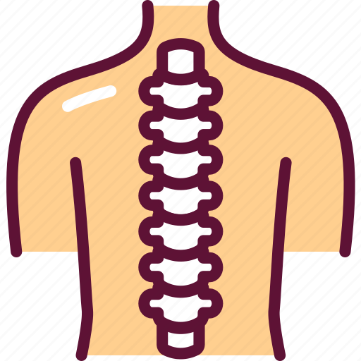 Spine, healthy, orthopedic icon - Download on Iconfinder
