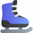 ice skating shoe, winter sport, ice skate, footwear, boot