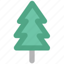 christmas tree, eco tree, ecology, evergreen, fir tree, pine tree, spruce 