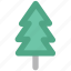 christmas tree, eco tree, ecology, evergreen, fir tree, pine tree, spruce 
