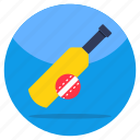 cricket, bat ball, sports tools, sports equipment, sports instrument