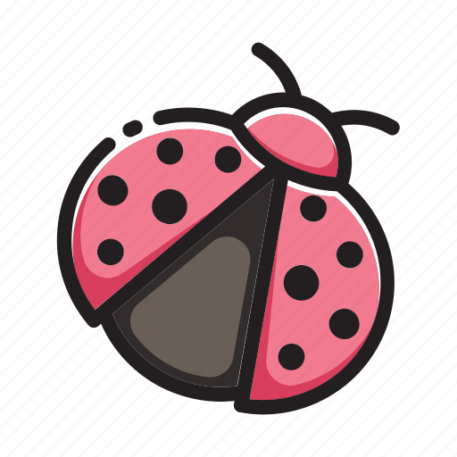Bug, insect, ladybug icon - Download on Iconfinder