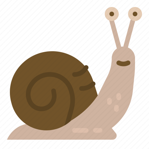 Animal, animals, kingdom, snail, wildlife icon - Download on Iconfinder