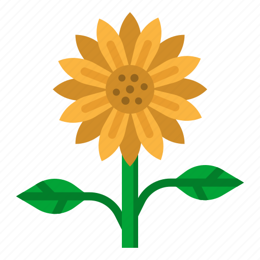 Blossom, botanical, flower, nature, sunflower icon - Download on Iconfinder