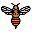 animals, bee, fly, insect, kingdom 