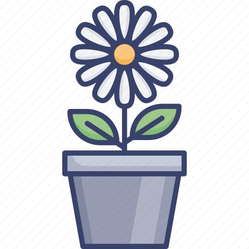 Daisy, floral, flower, plant, pot, potted icon - Download on Iconfinder