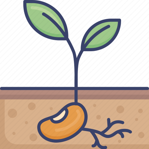 Bean, ecology, environment, grow, nature, plant, seed icon - Download on Iconfinder