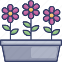 floral, flower, flowers, nature, plant, pot, potted