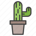 cactus, flowerpot, flower, interior, plant
