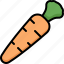 carrot, fruit, vegan, vegetable, organic 