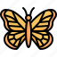 butterfly, animal, wings, bug, animals, wild 