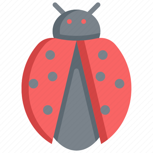 Ladybug, animal, bug, animals, spring, wild icon - Download on Iconfinder