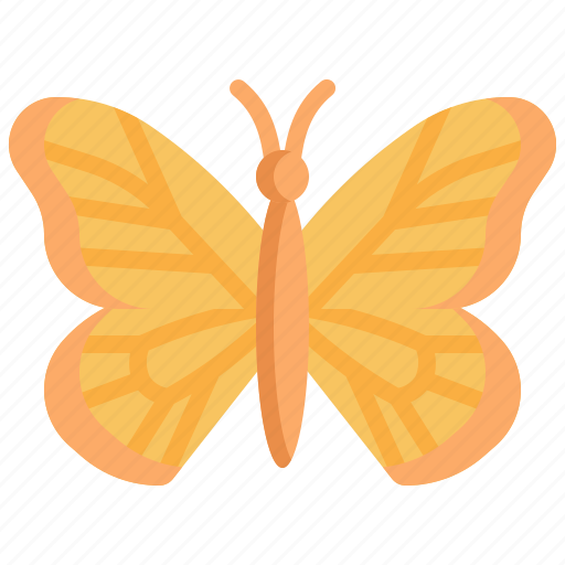 Butterfly, animal, wings, bug, animals icon - Download on Iconfinder