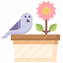 bird, flower, pot, ornithology, animals, pigeon