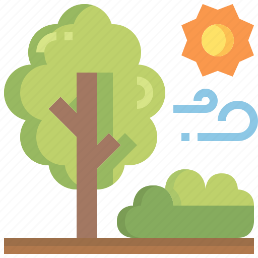 Tree, garden, botanical, sun, nature, ecology icon - Download on Iconfinder