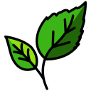 ecology, green, leaf, plant, spring