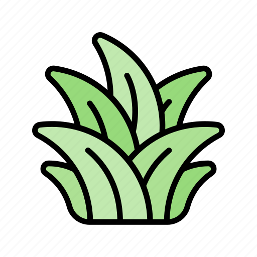 Grass, bush, weed, spring, nature, season icon - Download on Iconfinder