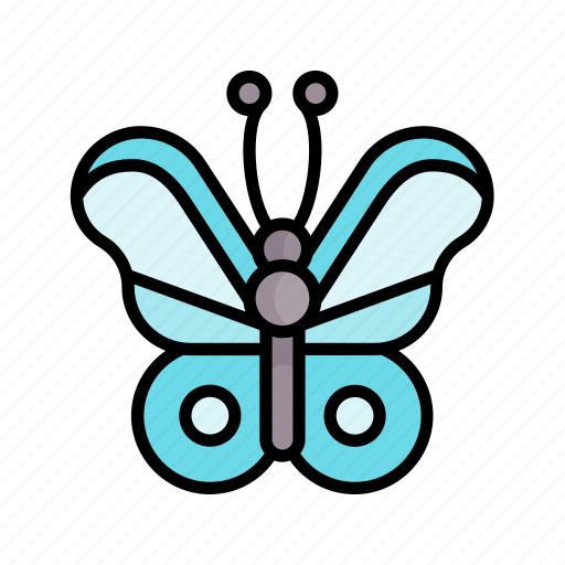 Insect, butterfly, moth, bug, spring, nature, season icon - Download on Iconfinder