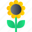 spring, sunflower, flower, garden, plant, nature, gardening 