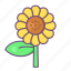 sunflower, garden, plant, nature, floral 