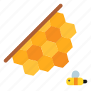 bee, hive, honey, nature, beehive, honeycomb