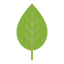 ecology, green, leaf, plant, spring 