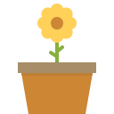 blossom, ecology, flower, gardening, pot, spring, sunflower 
