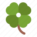 clover, leaf, shamrock, irish, plant