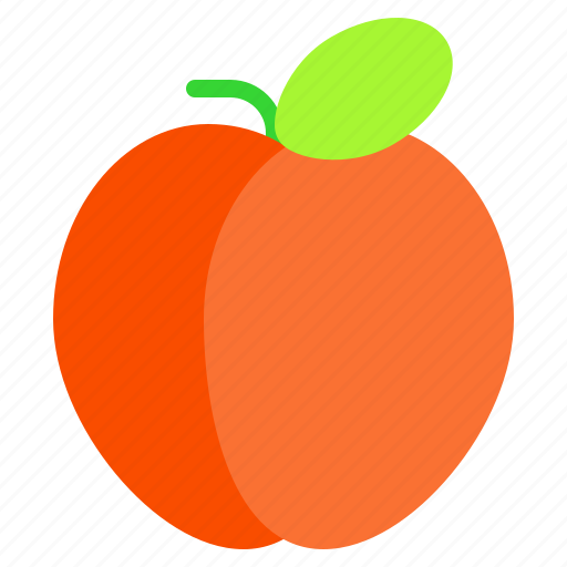 Apricot, fruit, citrus, peach, plum, food, sweet icon - Download on Iconfinder