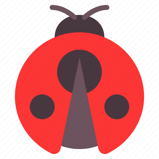 Ladybug, insect, bug, animal, nature, fly, beetle icon - Download on Iconfinder