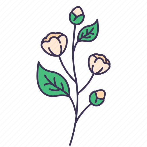 Spring, floral, flower, leaves, botanical, beauty, jasmine icon - Download on Iconfinder