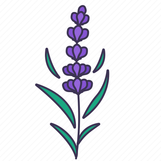 Spring, floral, flower, leaves, botanical, beauty, lavender icon - Download on Iconfinder