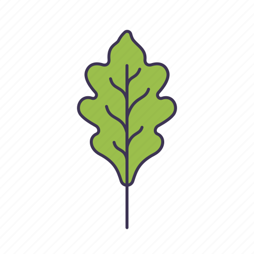 Spring, herb, leaves, botanical, beauty, nature, plant icon - Download on Iconfinder