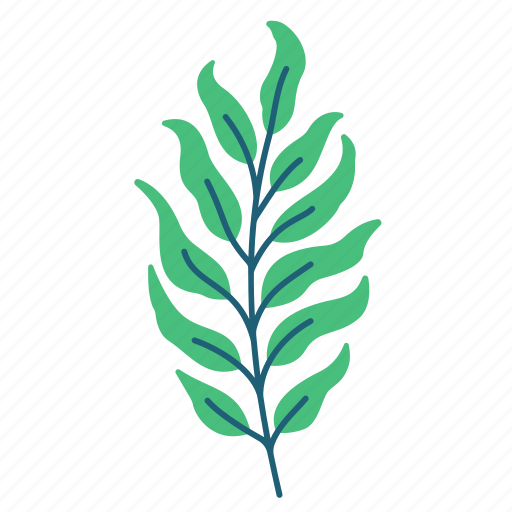 Spring, fern, leaves, botanical, beauty, tropical, foliage icon - Download on Iconfinder