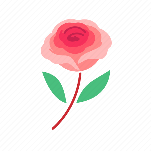 Spring, floral, flower, bloom, botanical, beauty, rose icon - Download on Iconfinder