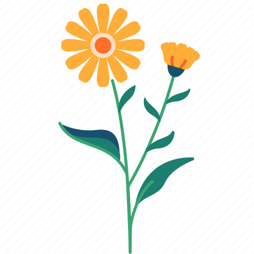 Spring, floral, flower, leaves, botanical, beauty, calendula icon - Download on Iconfinder