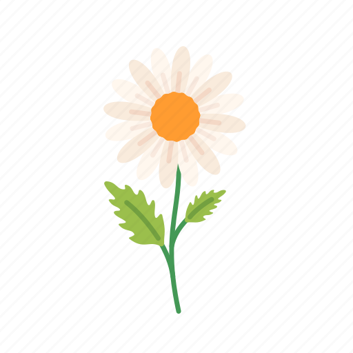 Spring, floral, flower, leaves, botanical, beauty, daisy icon - Download on Iconfinder