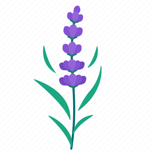 Spring, floral, flower, leaves, botanical, beauty, lavender icon - Download on Iconfinder
